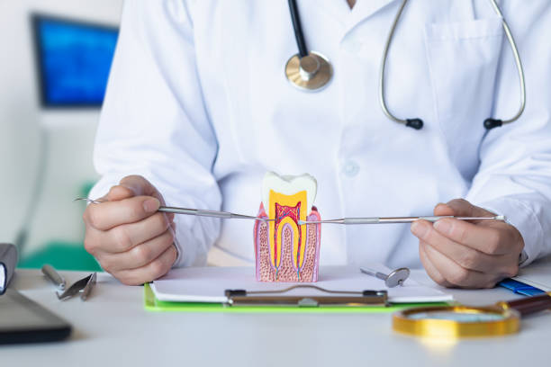 Best Emergency Treatment for Oral Infections in Pine Knot, KY